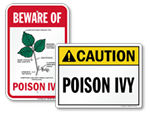 Poison Ivy Warning Signs