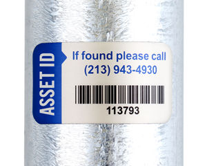Asset Id Labels