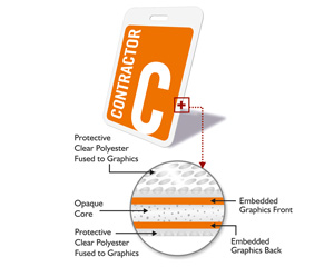 Cross section of plastic safety badge