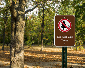 Do Not Cut Trees Campground Sign