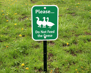 Do not Feed The Geese Animals Sign