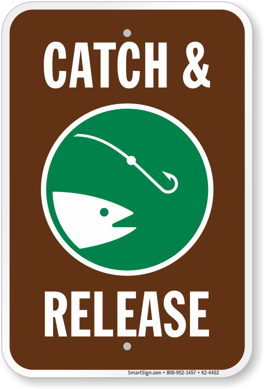 catch and release