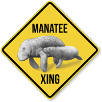 Manatee Crossing Sign With Calf Symbol