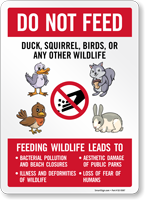 Do Not Feed Duck Squirrel Birds Or Any Other Wildlife Feeding Wildlife Leads To Sign
