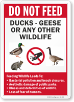 Do Not Feed Ducks Geese Or Any Other Wildlife Sign