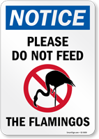 Do Not Feed The Flamingos With General Prohibition Symbol Sign