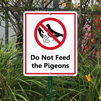 Do Not Feed The Pigeons Lawnboss Signs 