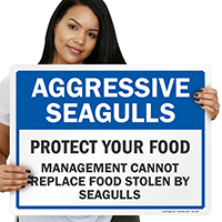 Aggressive SeagullsSigns