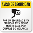 Spanish CCTV Surveillance Sign (With Graphic)