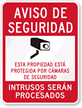 Video Surveillance Sign in Spanish