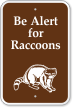 Be Alert For Raccoons Sign with Graphic