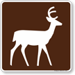 Deer Viewing Area Symbol Sign For Campsite