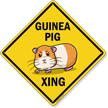 Funny Guinea Pig Crossing Diamond Sign