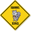 Funny Squirrel Crossing Diamond Sign