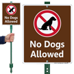 No Dogs Allowed Sign   No Pets