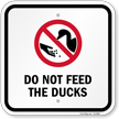 Square Do Not Feed The Ducks With General Prohibition Symbol Sign