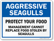 Aggressive Seagulls, Do Not Feed Them Sign