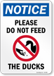 Do Not Feed The Ducks With General Prohibition Symbol Sign