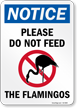Do Not Feed The Flamingos With General Prohibition Symbol Sign