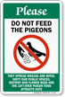 Please Do Not Feed The Pigeons Sign