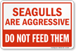 Seagulls Are Aggressive, Dont Feed Them Sign