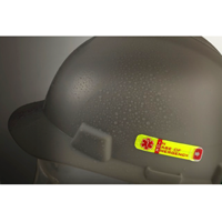 ICE Hard Hat Sticker