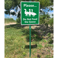 Do not feed geese sign