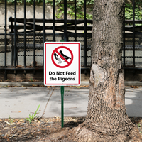 Do Not Feed The Pigeons LawnBoss® Sign & Stake Kit 