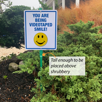 Lawn sign: Smile you're on camera