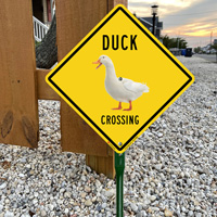 Yellow warning sign with duck illustration