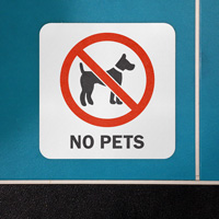 Pool Area Reminder: No Pets Allowed