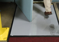 Clean Stride® Mat