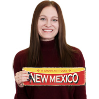 Vintage New Mexico Sign
