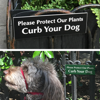 Curb Your Dog Signs